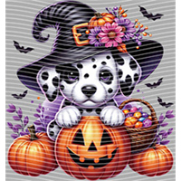 Halloween-WS 5721